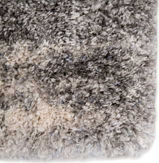 Jaipur Living Lyra Elodie LYR02 Gray/Ivory Area Rug