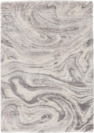 Jaipur Living Lyra Crescendo LYR06 Gray/Ivory Area Rug - Top Down