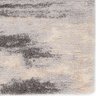 Jaipur Living Lyra Triton LYR07 Gray/Cream Area Rug Detail Image