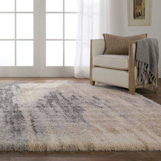 Jaipur Living Lyra Triton LYR07 Gray/Cream Area Rug main image