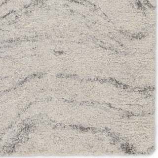 Jaipur Living Lyra Windsor LYR08 Gray/Cream Area Rug Detail Image