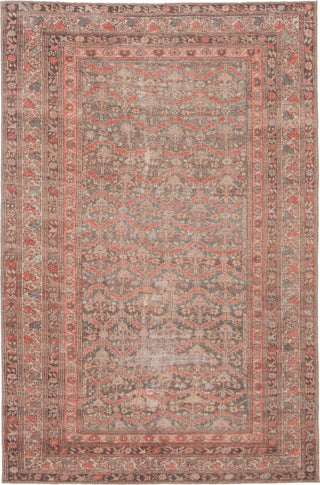 Jaipur Living Medea Estienne MDE04 Rust/Brown Area Rug - Top Down