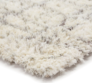 Jaipur Living Minka Taft MKA04 Ivory/Light Gray Area Rug