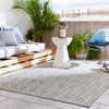 Jaipur Living Monteclair Galloway MOC02 Gray/Cream Area Rug