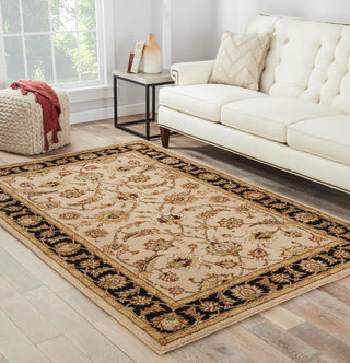 Jaipur Living Mythos Selene MY02 Beige/Black Area Rug Lifestyle Image Feature