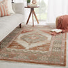Jaipur Living Myriad Constanza MYD09 Blush/Gray Area Rug by Vibe Lifestyle Image Feature