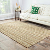 Jaipur Living Naturals Lucia Marvy NAL01 Beige Area Rug Lifestyle Image Feature