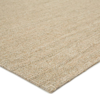 Jaipur Living Naturals Sanibel Daytona NAS02 Beige Area Rug