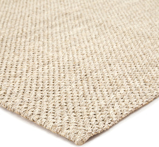 Jaipur Living Naturals Sanibel Naples NAS07 White/Taupe Area Rug Corner Image