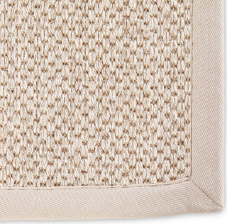 Jaipur Living Naturals Sanibel Naples NAS09 Beige/Ivory Area Rug - Close Up