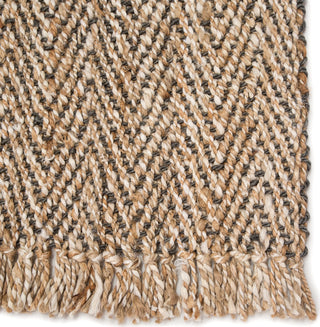 Jaipur Living Naturals Tobago Hoopes NAT13 Beige/Gray Area Rug