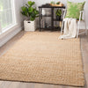 Jaipur Living Naturals Tobago Blair NAT25 Beige Area Rug Lifestyle Image Feature