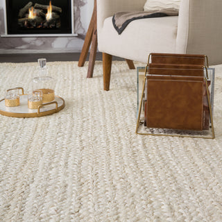 Jaipur Living Naturals Tobago Anichini NAT33 Ivory/Beige Area Rug 