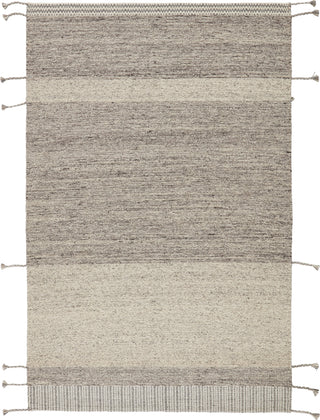 Jaipur Living Nazca Coolidge NAZ02 Gray/ Area Rug - Top Down