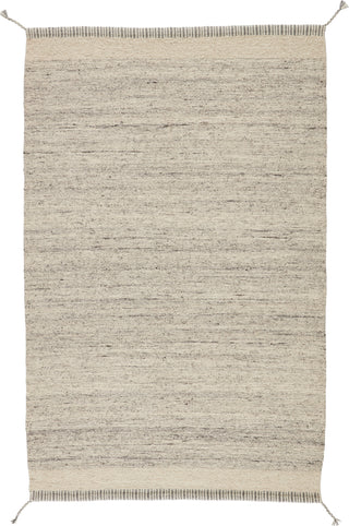 Jaipur Living Nazca Gila NAZ03 Gray/Ivory Area Rug - Top Down