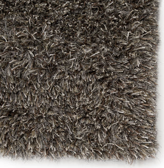 Jaipur Living Nadia ND01 Silver/Tan Area Rug - Close Up