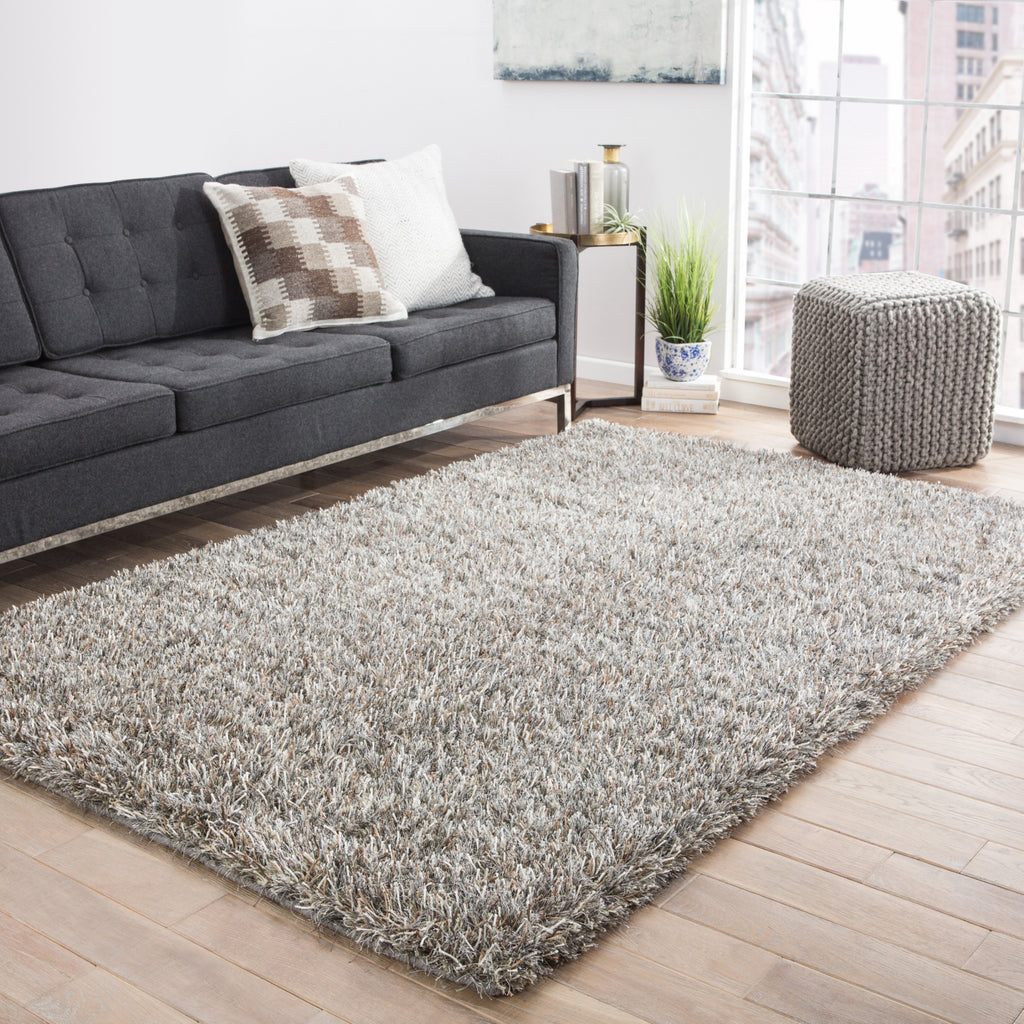 Jaipur Living Nadia ND01 Silver/Tan Area Rug Lifestyle Image Feature