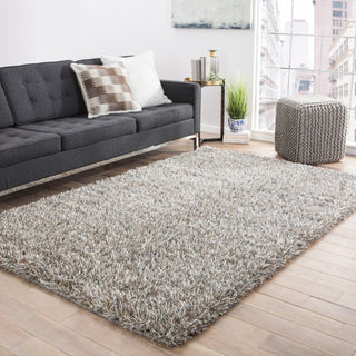 Jaipur Living Nadia ND01 Silver/Tan Area Rug Lifestyle Image Feature