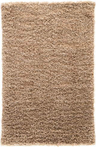 Jaipur Living Nadia ND06 Tan Area Rug