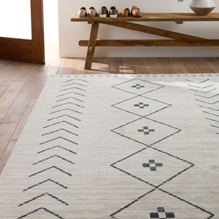 Jaipur Living Nadine Taos NDN01 Cream/Dark Slate Area Rug by Vibe main image