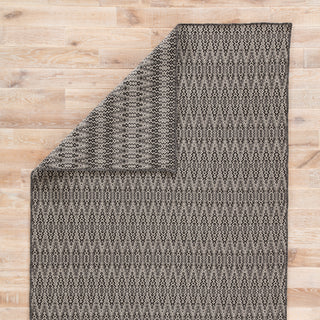 Jaipur Living Nirvana Crover NIR01 Black/Gray Area Rug