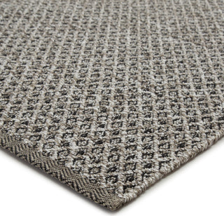 Jaipur Living Nirvana Foster NIR02 Gray/White Area Rug