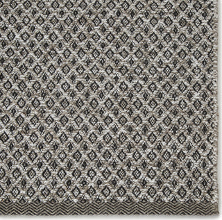 Jaipur Living Nirvana Foster NIR02 Gray/White Area Rug