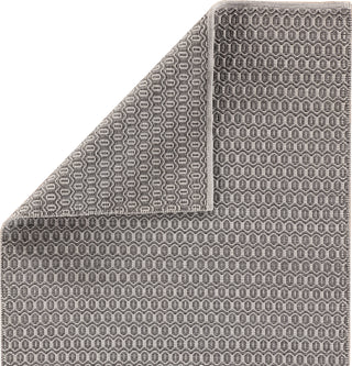 Jaipur Living Nirvana Swit NIR03 Gray Area Rug