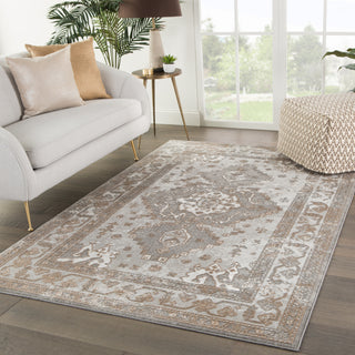 Jaipur Living Nashua Walsh NSH06 Gray/Tan Area Rug Lifestyle Image Feature