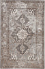 Jaipur Living Nashua Walsh NSH06 Gray/Tan Area Rug