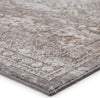 Jaipur Living Nashua Pinneo NSH07 Gray/Tan Area Rug