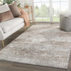 Jaipur Living Nashua Pinneo NSH07 Gray/Tan Area Rug Lifestyle Image Feature