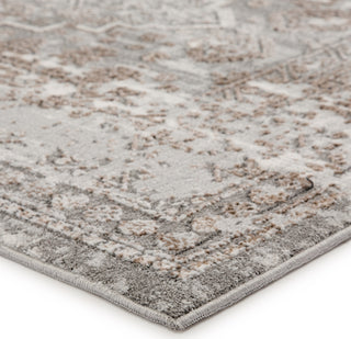 Jaipur Living Nashua Pinneo NSH08 Light Gray/Tan Area Rug