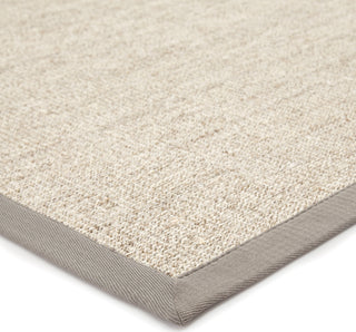 Jaipur Living Naturals Sanibel Plus Palm Beach NSP04 Beige/Gray Area Rug