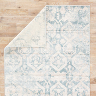 Jaipur Living Nysea Nima NYS08 Gray/Blue Area Rug