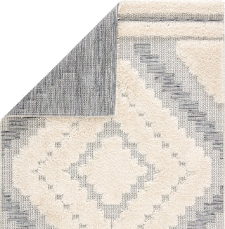 Jaipur Living Parades Sani PAD01 Gray/Cream Area Rug