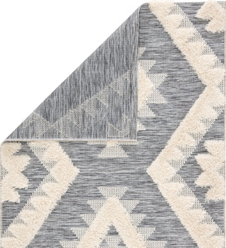 Jaipur Living Parades Makaya PAD02 Gray/Cream Area Rug