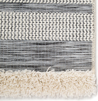 Jaipur Living Parades Hanai PAD03 Gray/Cream Area Rug