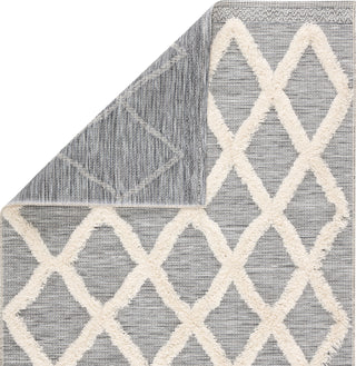 Jaipur Living Parades Bandalier PAD04 Gray/Cream Area Rug