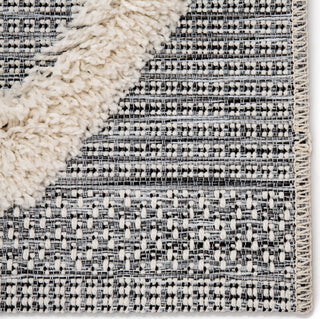 Jaipur Living Parades Bandalier PAD04 Gray/Cream Area Rug