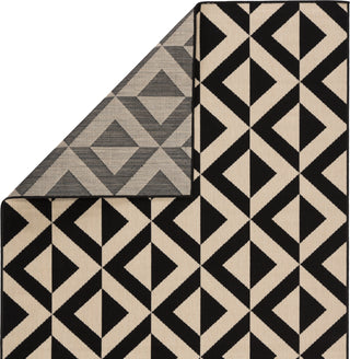 Jaipur Living Patio Marquise PAO03 Black/Cream Area Rug