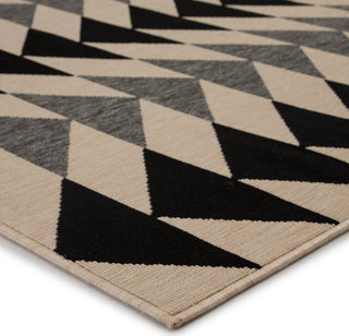 Jaipur Living Patio Mckenzie PAO04 Black/Cream Area Rug