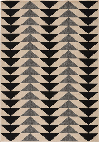 Jaipur Living Patio Mckenzie PAO04 Black/Cream Area Rug