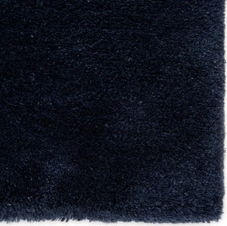 Jaipur Living Paulo Serra PLO01 Blue Area Rug Corner Close Up Image