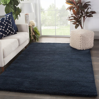 Jaipur Living Paulo Serra PLO01 Blue Area Rug Lifestyle Image Feature