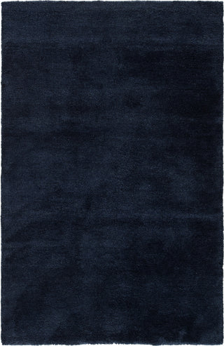 Jaipur Living Paulo Serra PLO01 Blue Area Rug Main Image