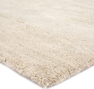 Jaipur Living Paulo Serra PLO02 Ivory Area Rug Corner Image