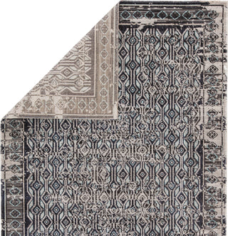 Jaipur Living Polaris Stowe POL03 Gray/Blue Area Rug