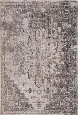 Jaipur Living Polaris Isolde POL07 Gray/Ivory Area Rug Main Image