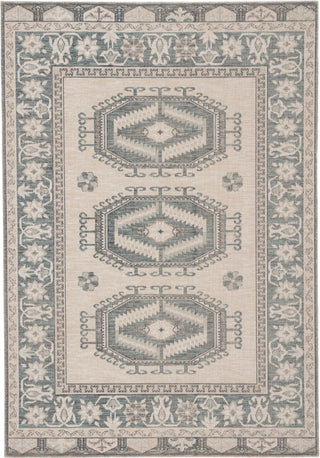 Jaipur Living Polaris Miner POL11 Light Teal/Gray Area Rug